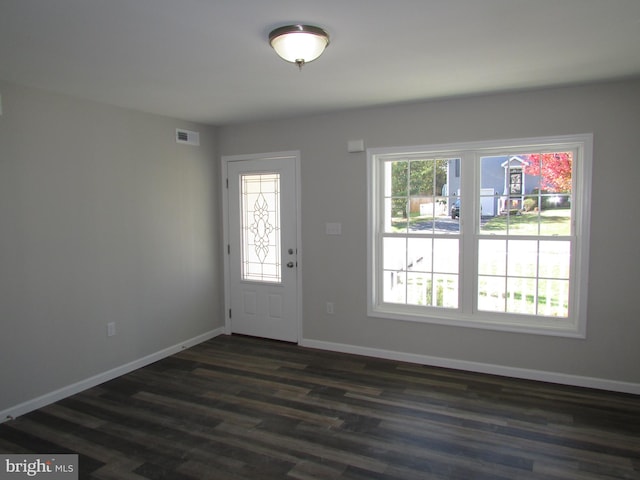 entryway featuring plenty of natural light and dark hardwood / wood-style flooring