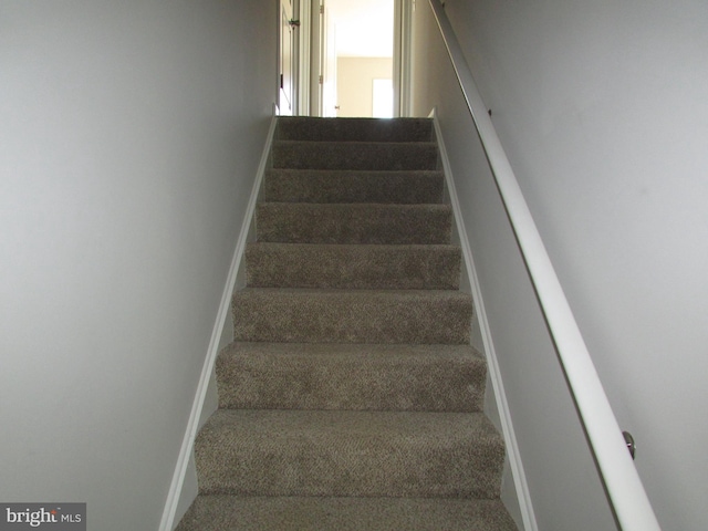 stairs with carpet