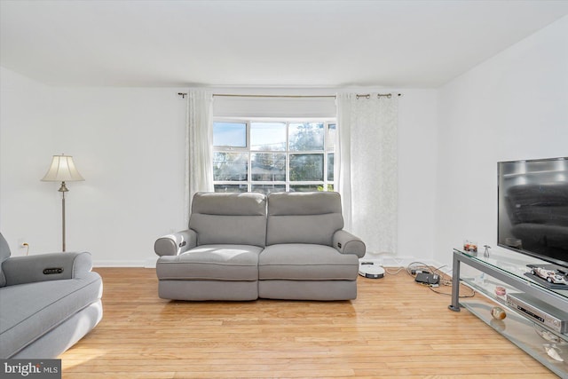 living room with light wood-type flooring