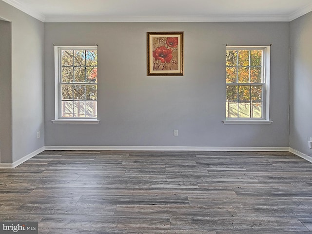 empty room with crown molding and dark hardwood / wood-style flooring