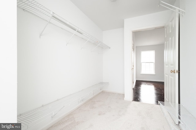 spacious closet with carpet floors