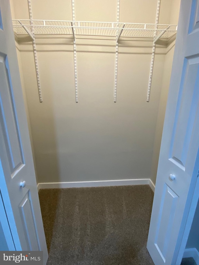 walk in closet featuring carpet