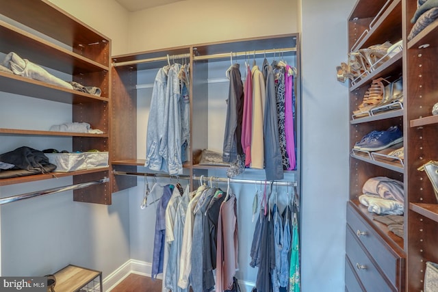 spacious closet with hardwood / wood-style floors