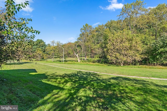 view of home's community with a lawn