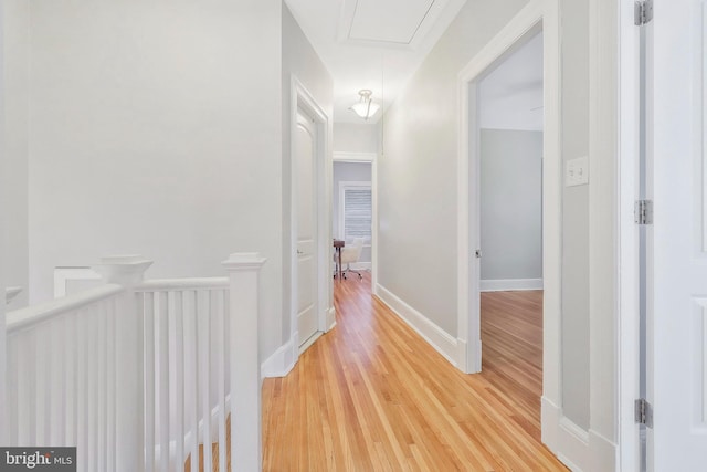 corridor with wood-type flooring