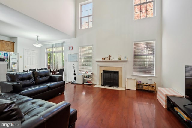 living room featuring dark hardwood / wood-style flooring and a towering ceiling