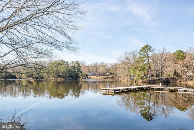 dock area with a water view