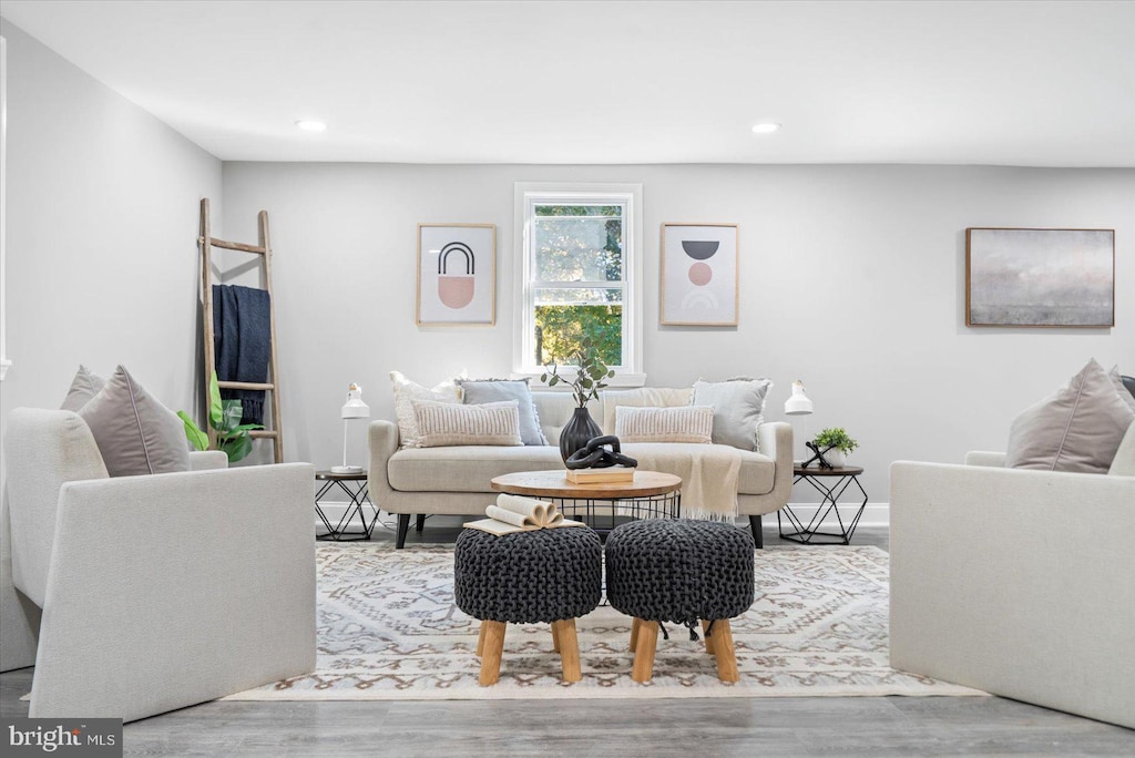 living room featuring light hardwood / wood-style floors