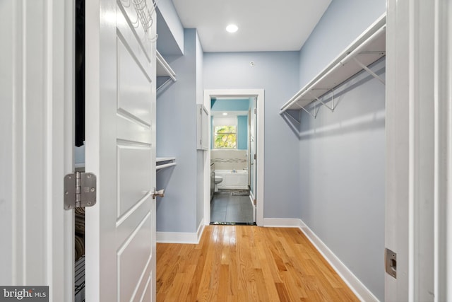 walk in closet featuring wood-type flooring