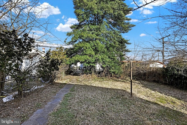 view of yard