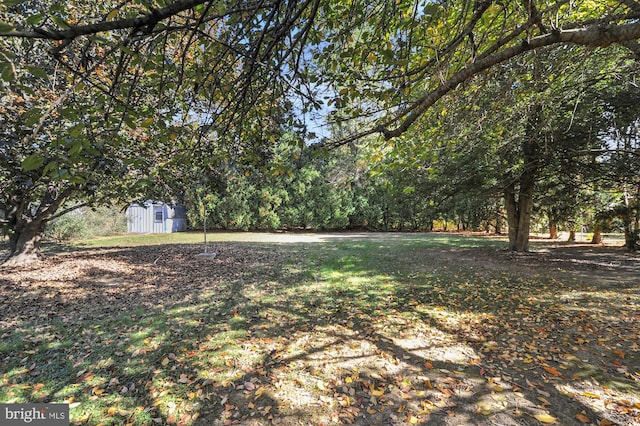 view of yard featuring a shed