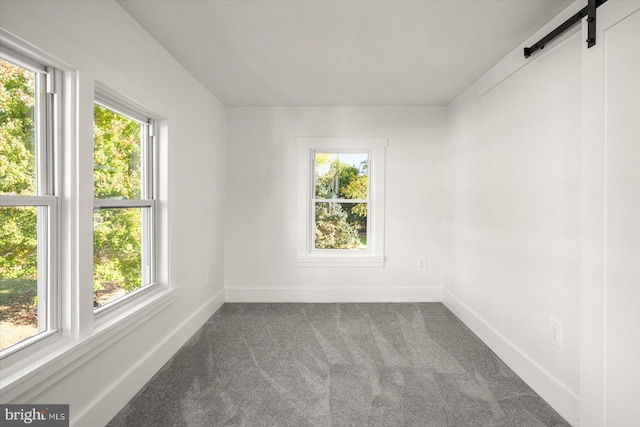 spare room featuring a barn door and carpet