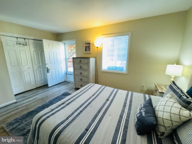 bedroom featuring wood-type flooring and a closet