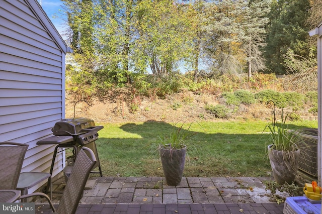 view of yard with a patio