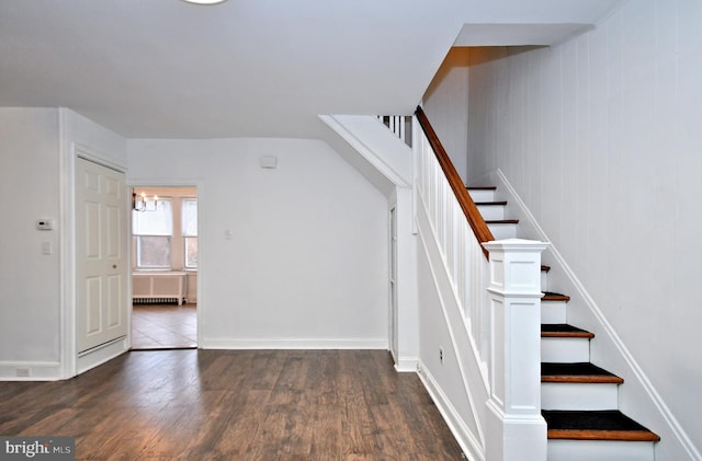 staircase featuring radiator and hardwood / wood-style floors