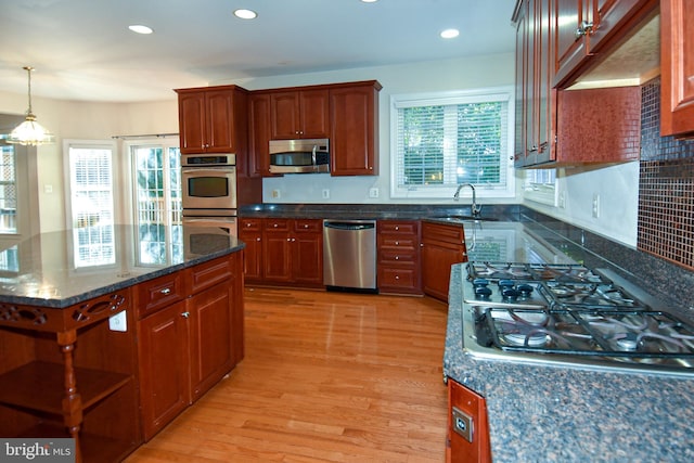 kitchen featuring a healthy amount of sunlight, stainless steel appliances, light hardwood / wood-style flooring, and sink