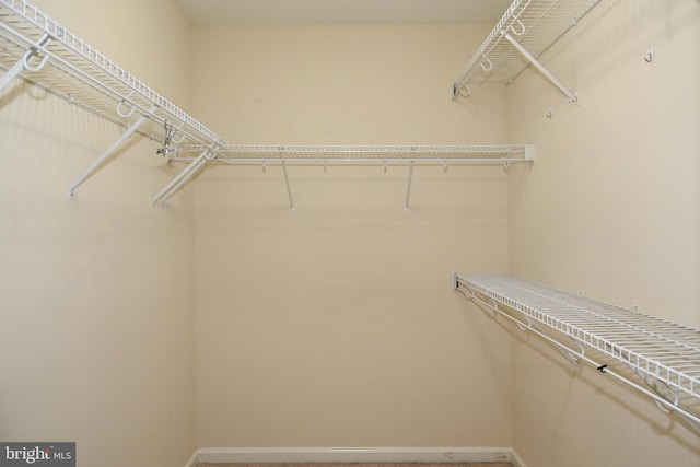 view of walk in closet