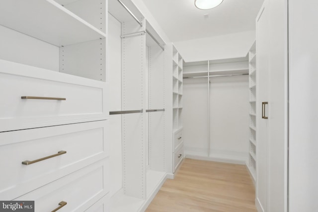 walk in closet with light hardwood / wood-style flooring