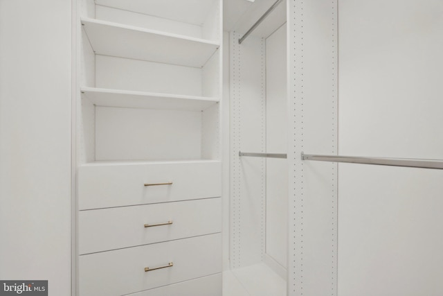 view of spacious closet