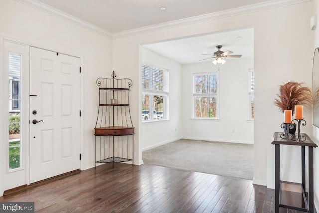 entrance foyer with dark colored carpet, ceiling fan, and crown molding