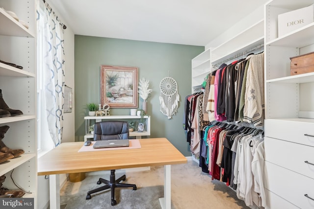 walk in closet featuring light colored carpet