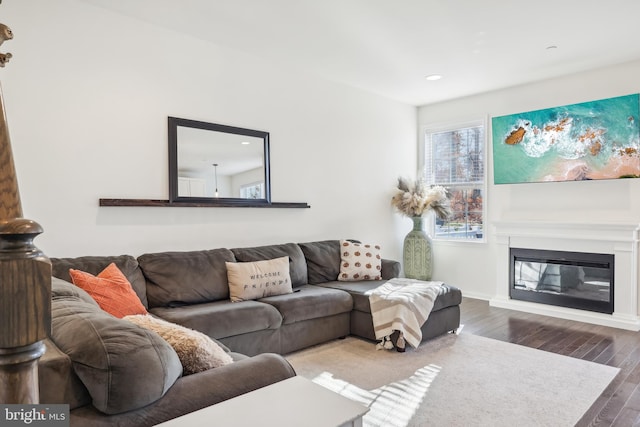 living room featuring hardwood / wood-style flooring