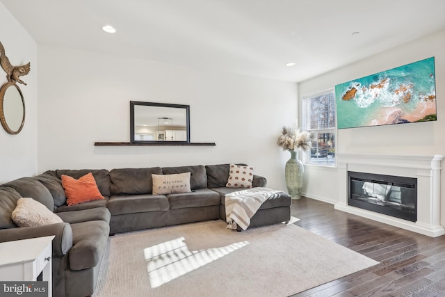 living room with dark hardwood / wood-style floors