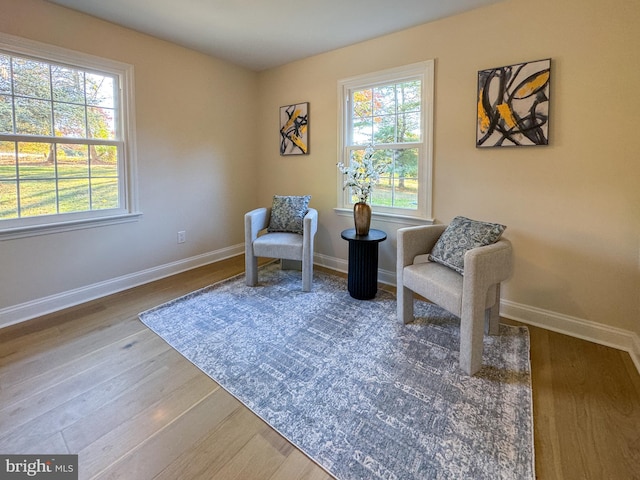 living area featuring hardwood / wood-style floors