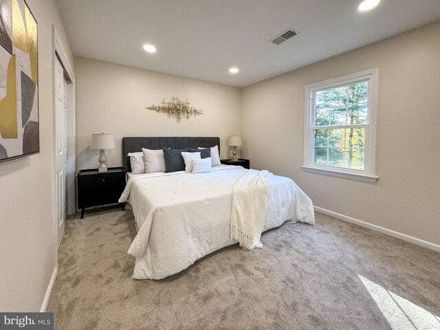 bedroom featuring a closet and carpet floors