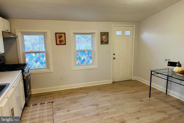 entrance foyer featuring a wealth of natural light and light hardwood / wood-style flooring