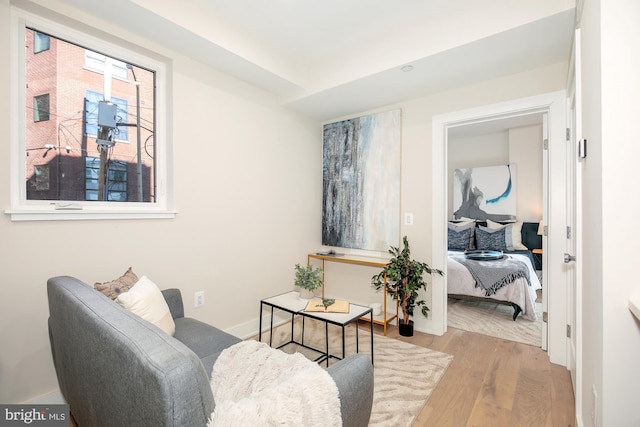 sitting room featuring light hardwood / wood-style floors