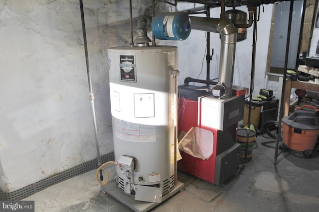 utilities with gas water heater and electric panel