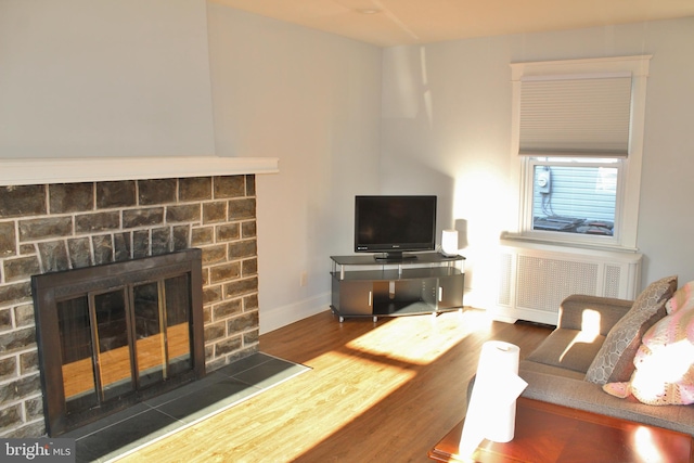 living room with radiator and wood-type flooring