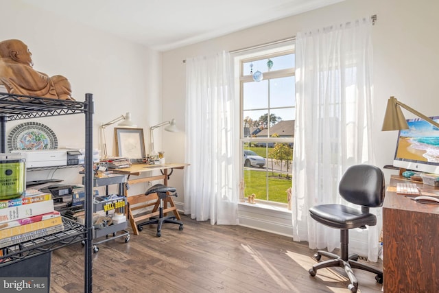 office featuring hardwood / wood-style flooring