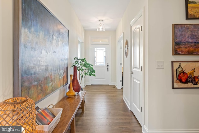 doorway with hardwood / wood-style floors