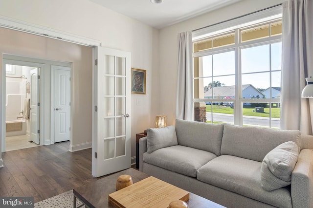 living room featuring dark wood-type flooring and french doors