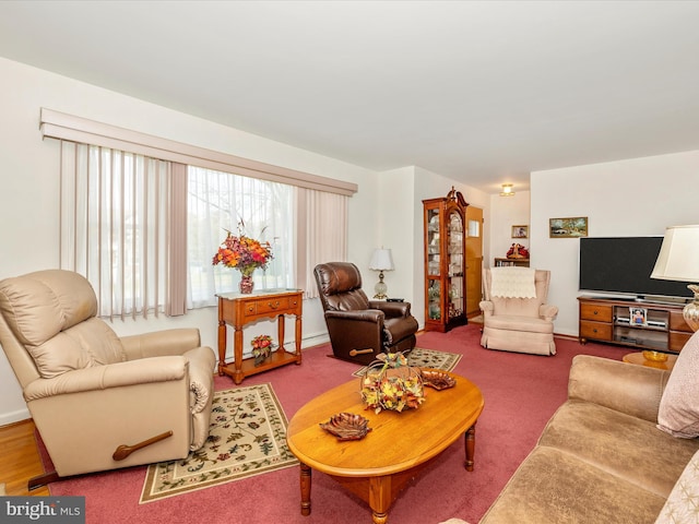 carpeted living room with a baseboard radiator