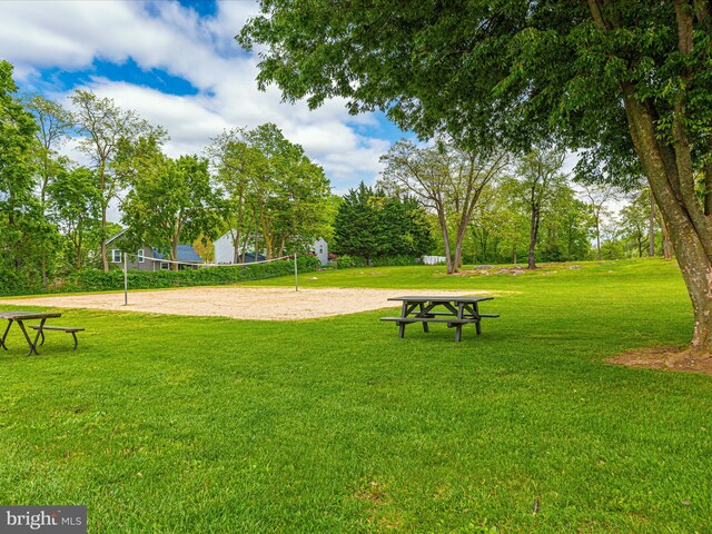 view of property's community featuring a yard and volleyball court