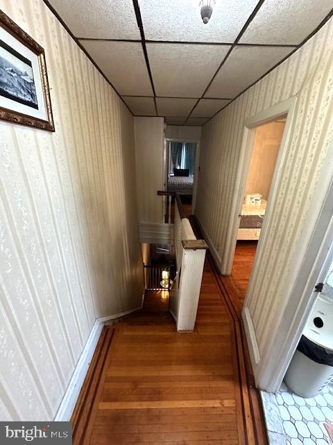 hallway featuring a drop ceiling and hardwood / wood-style flooring