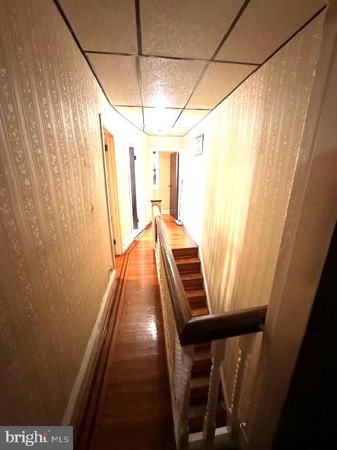 corridor featuring hardwood / wood-style floors and a paneled ceiling