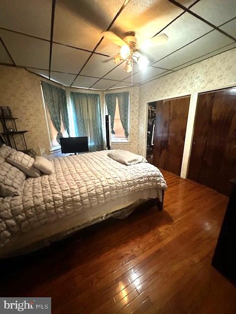 bedroom with ceiling fan, multiple closets, wood-type flooring, and a paneled ceiling