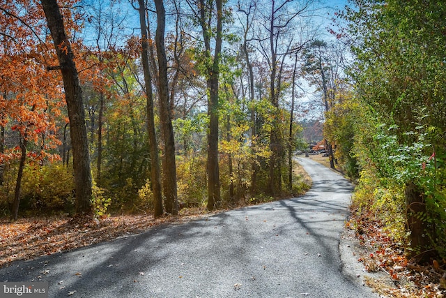 view of road