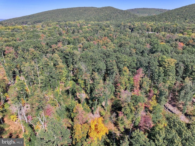 drone / aerial view with a mountain view