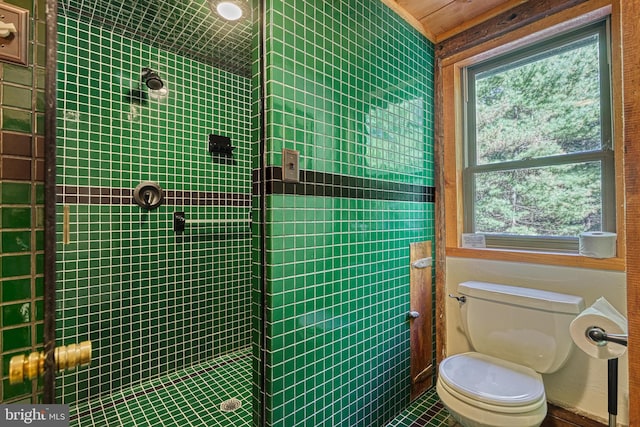 bathroom with tiled shower and toilet