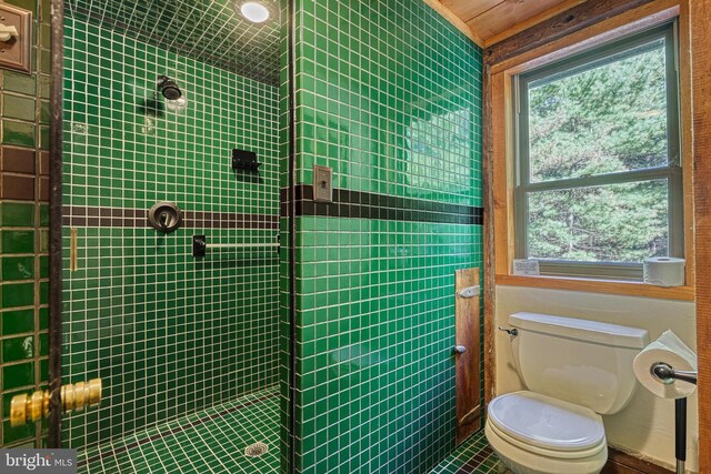 995 Black Gap Rd, Fayetteville, PA 17222 - bathroom featuring toilet, tiled shower, and plenty of natural light