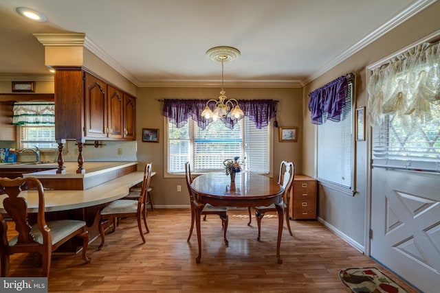 dining area with a chandelier, ornamental molding, a wealth of natural light, and light wood-type flooring