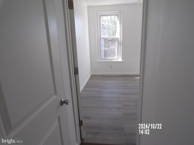 hall featuring dark wood-type flooring