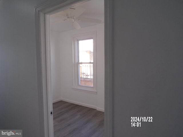 spare room featuring wood-type flooring and ceiling fan