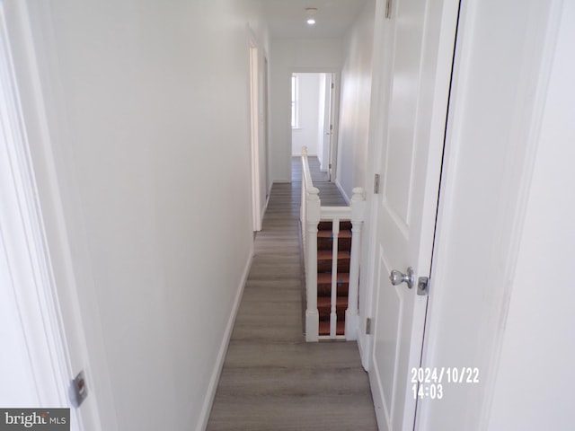 hall featuring wood-type flooring