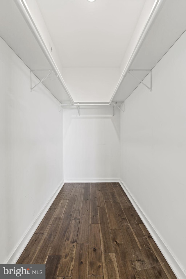 spacious closet with dark wood-style floors